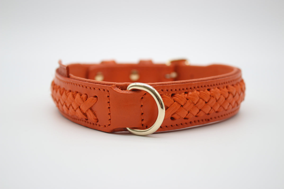 FinestPaw_Halsband_Flechtkunst_papaya_m_gold_dring