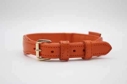 FinestPaw_Halsband_Flechtkunst_papaya_m_gold_front