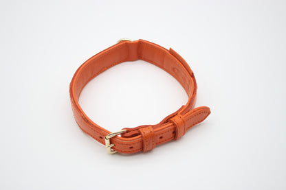 FinestPaw_Halsband_Flechtkunst_papaya_m_gold_oben