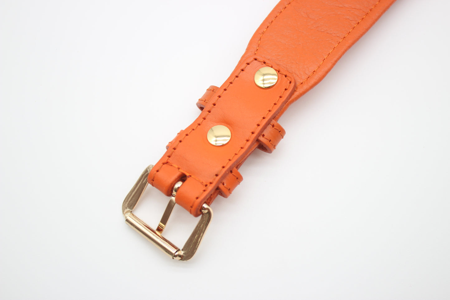 FinestPaw_Halsband_Flechtkunst_papaya_xxl_gold_back
