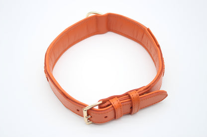 FinestPaw_Halsband_Flechtkunst_papaya_xxl_gold_oben