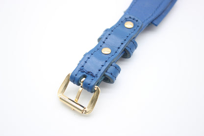 FinestPaw_Halsband_Flechtkunst_royalblau_m_gold_back