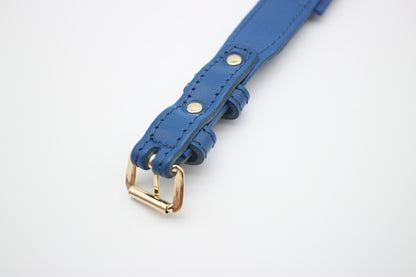 FinestPaw_Halsband_Flechtkunst_royalblau_xs_gold_back