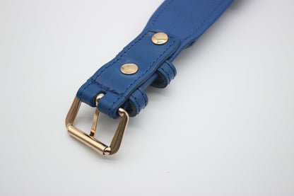 FinestPaw_Halsband_Flechtkunst_royalblau_xxl_gold_back