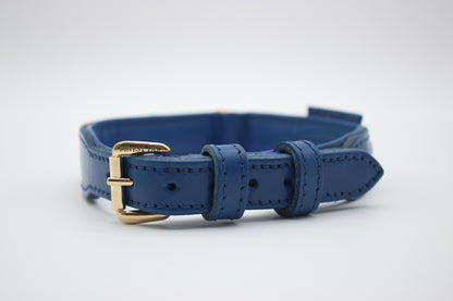 FinestPaw_Halsband_Flechtkunst_royalblau_xxl_gold_front