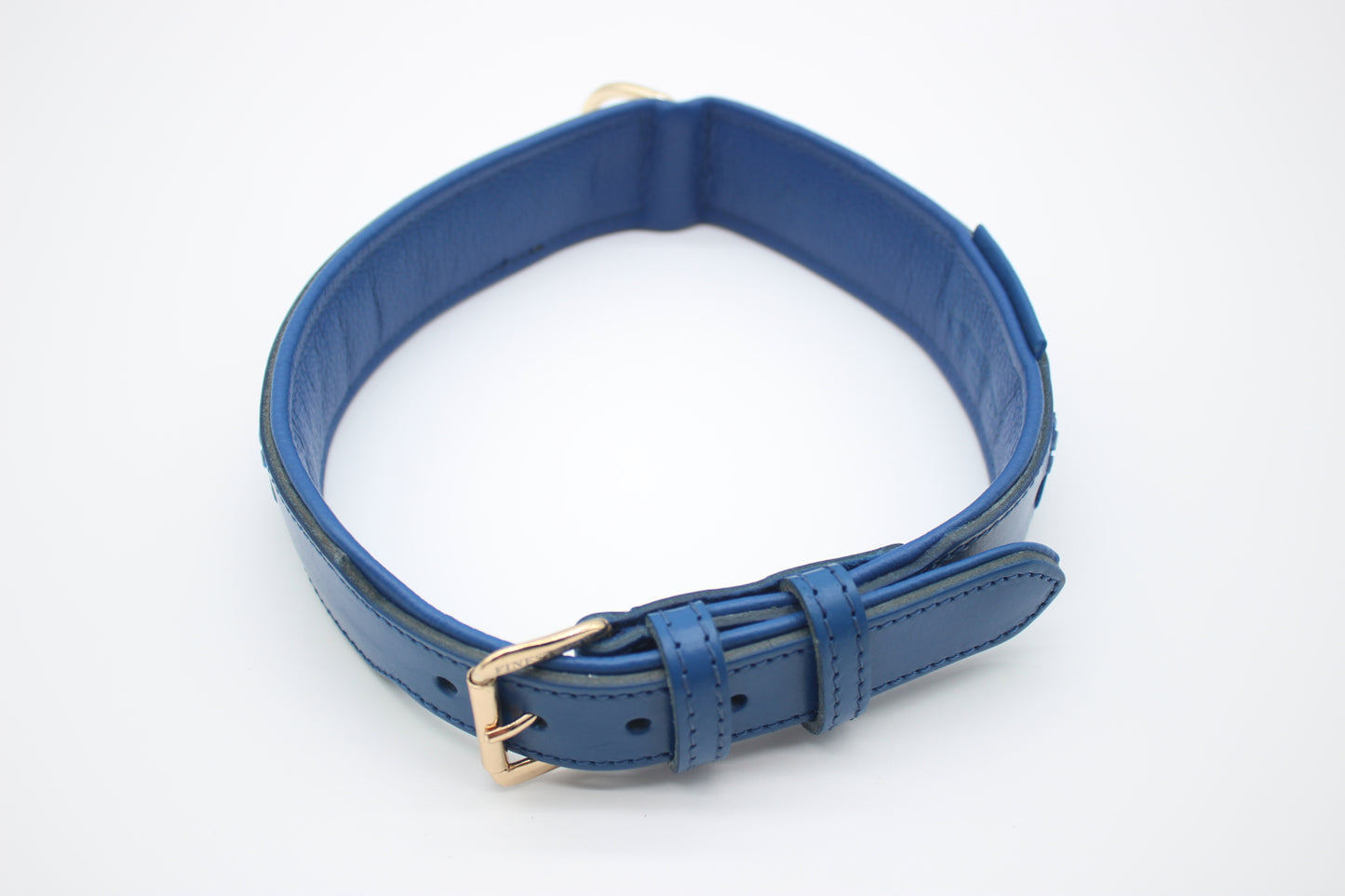 FinestPaw_Halsband_Flechtkunst_royalblau_xxl_gold_oben