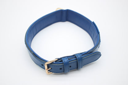 FinestPaw_Halsband_Flechtkunst_royalblau_xxl_gold_oben