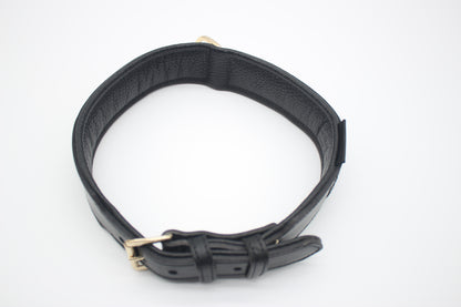FinestPaw_Halsband_Flechtkunst_schwarz_xxl_gold_oben