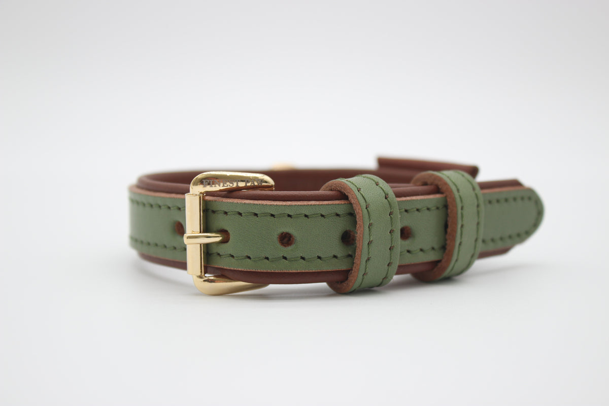 FinestPaw_Halsband_Klassik_Premium_salbei_xs_gold_front