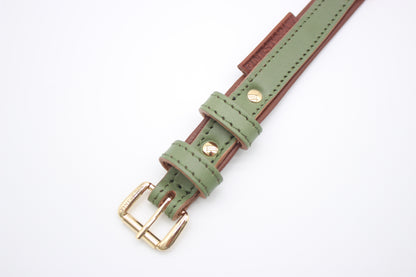 FinestPaw_Halsband_Klassik_Premium_salbei_xs_gold_schnalle