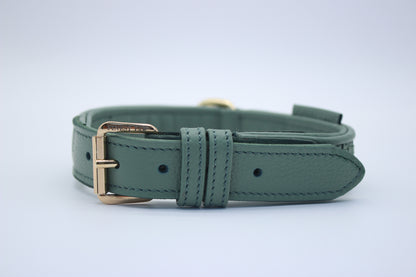 FinestPaw_Halsband_Signature_pistazie_m_gold_front