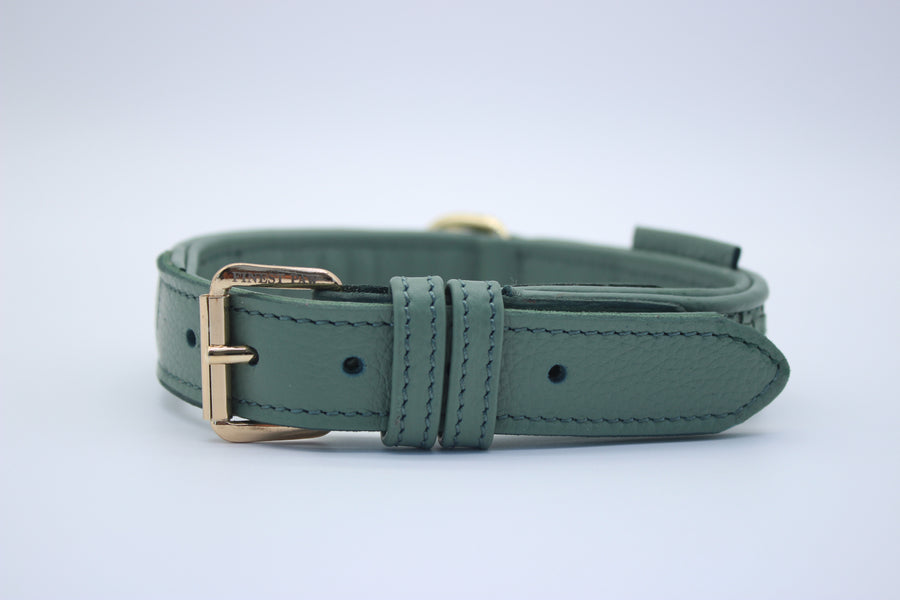 FinestPaw_Halsband_Signature_pistazie_m_gold_front