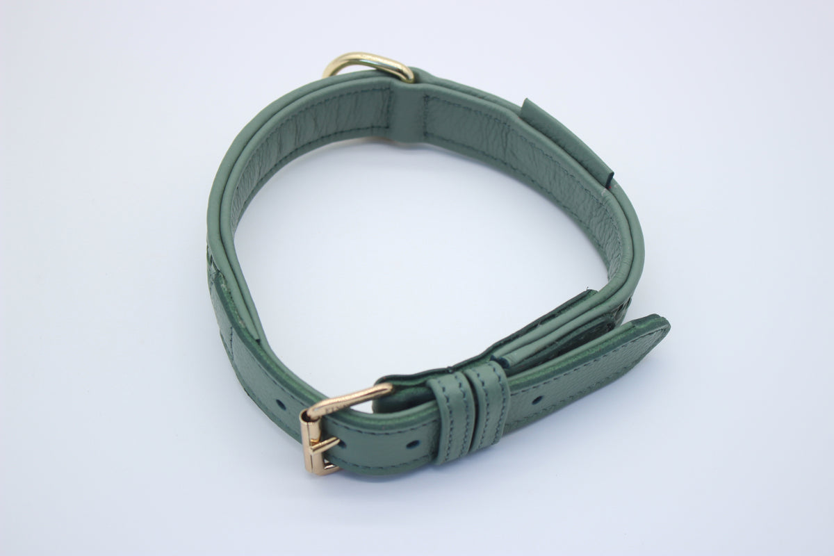 FinestPaw_Halsband_Signature_pistazie_m_gold_oben