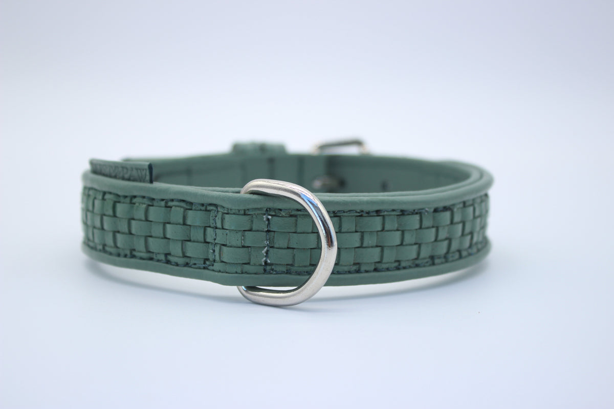 FinestPaw_Halsband_Signature_pistazie_m_silber_dring