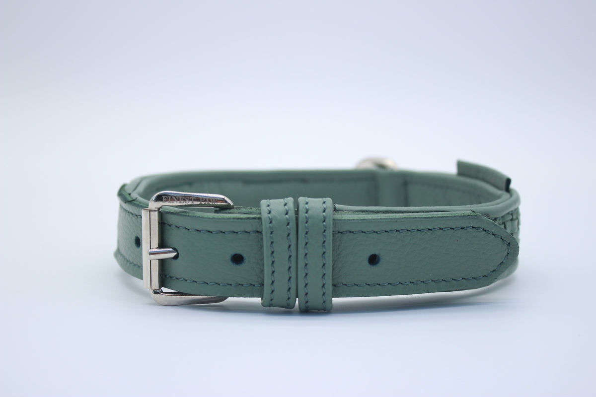 FinestPaw_Halsband_Signature_pistazie_m_silber_front