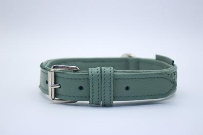 FinestPaw_Halsband_Signature_pistazie_m_silber_front
