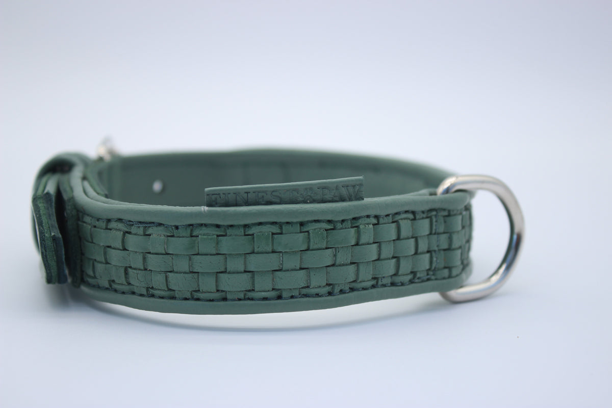 FinestPaw_Halsband_Signature_pistazie_m_silber_logo