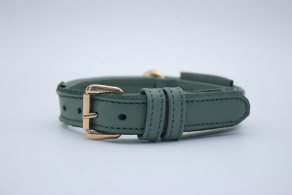 FinestPaw_Halsband_Signature_pistazie_xs_gold_front