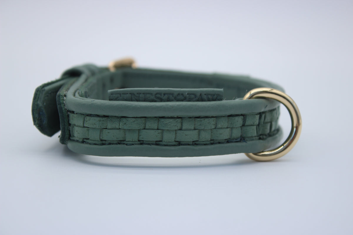 FinestPaw_Halsband_Signature_pistazie_xs_gold_logo