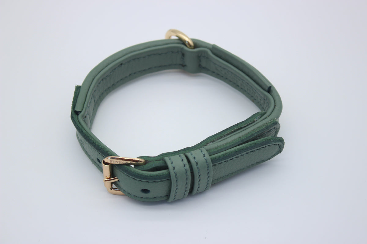 FinestPaw_Halsband_Signature_pistazie_xs_gold_oben