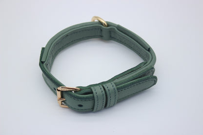 FinestPaw_Halsband_Signature_pistazie_xs_gold_oben