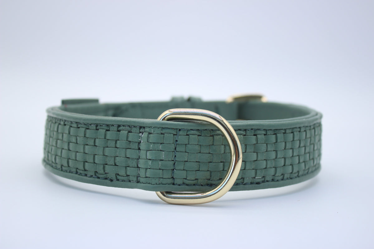 FinestPaw_Halsband_Signature_pistazie_xxl_gold_dring