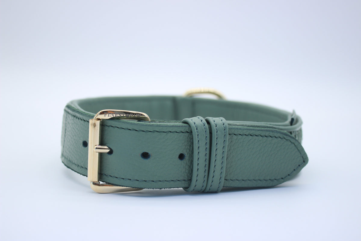 FinestPaw_Halsband_Signature_pistazie_xxl_gold_front