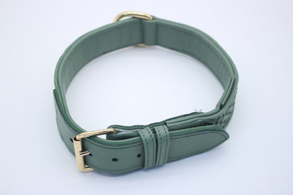 FinestPaw_Halsband_Signature_pistazie_xxl_gold_oben