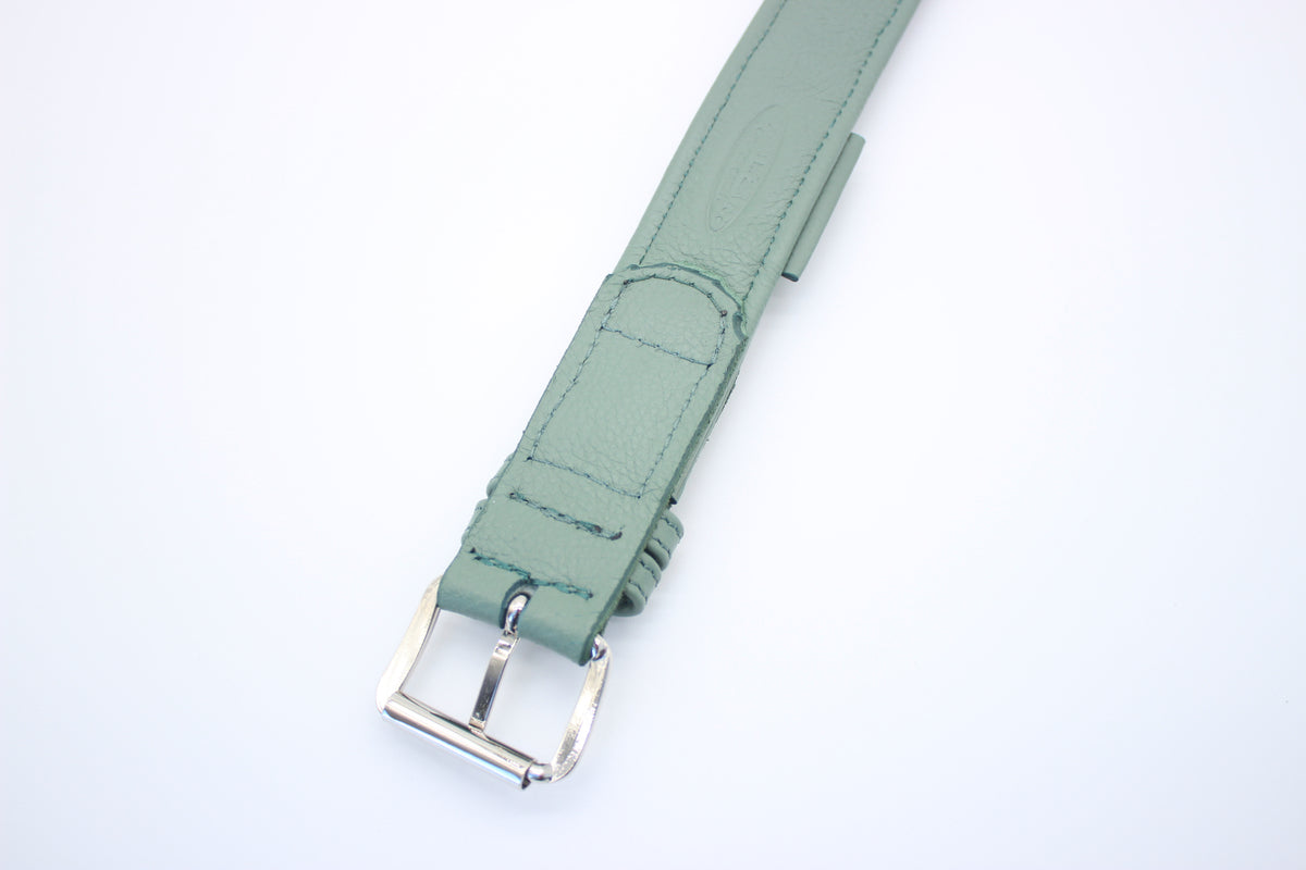 FinestPaw_Halsband_Signature_pistazie_xxl_silber_back