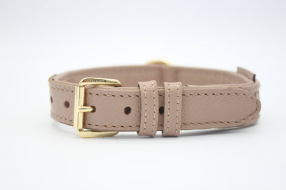 FinestPaw_Halsband_Signature_puder_m_gold_front