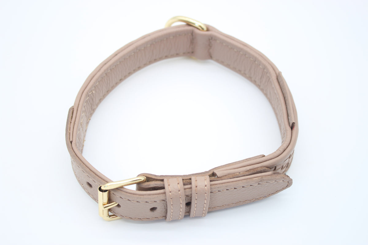 FinestPaw_Halsband_Signature_puder_m_gold_oben