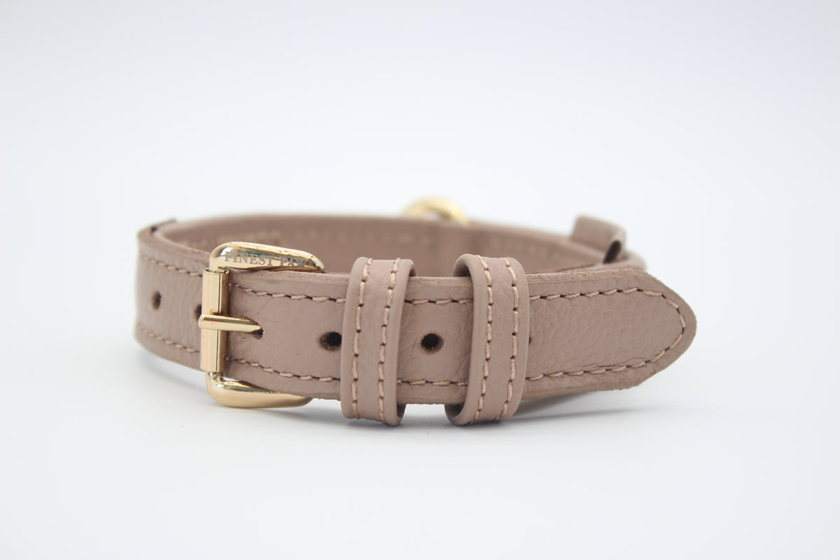 FinestPaw_Halsband_Signature_puder_xs_gold_front