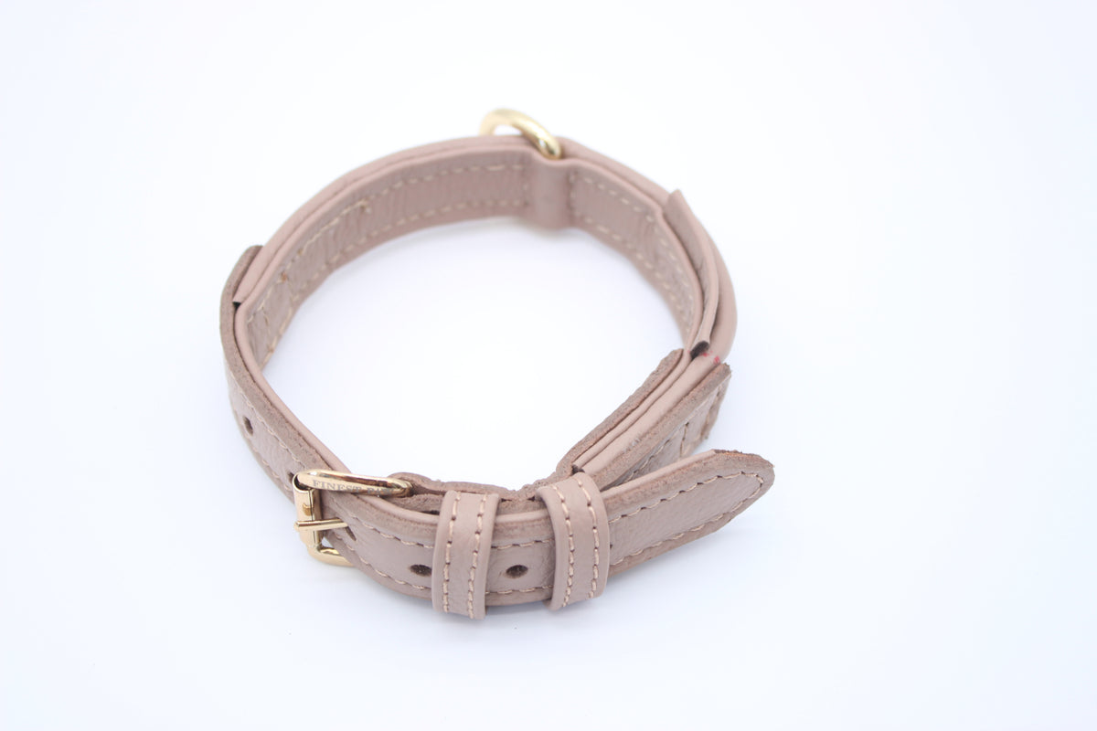 FinestPaw_Halsband_Signature_puder_xs_gold_oben
