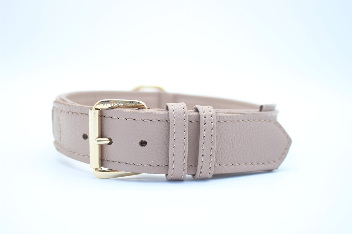 FinestPaw_Halsband_Signature_puder_xxl_gold_front