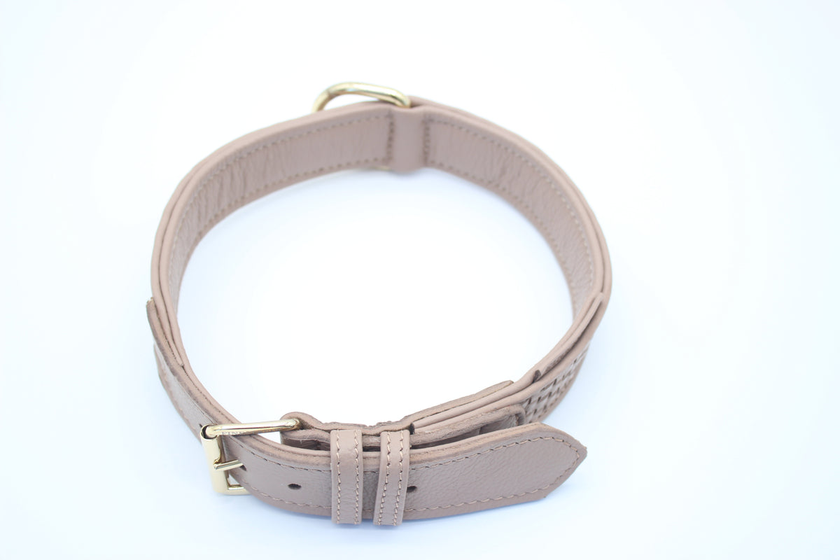 FinestPaw_Halsband_Signature_puder_xxl_gold_oben
