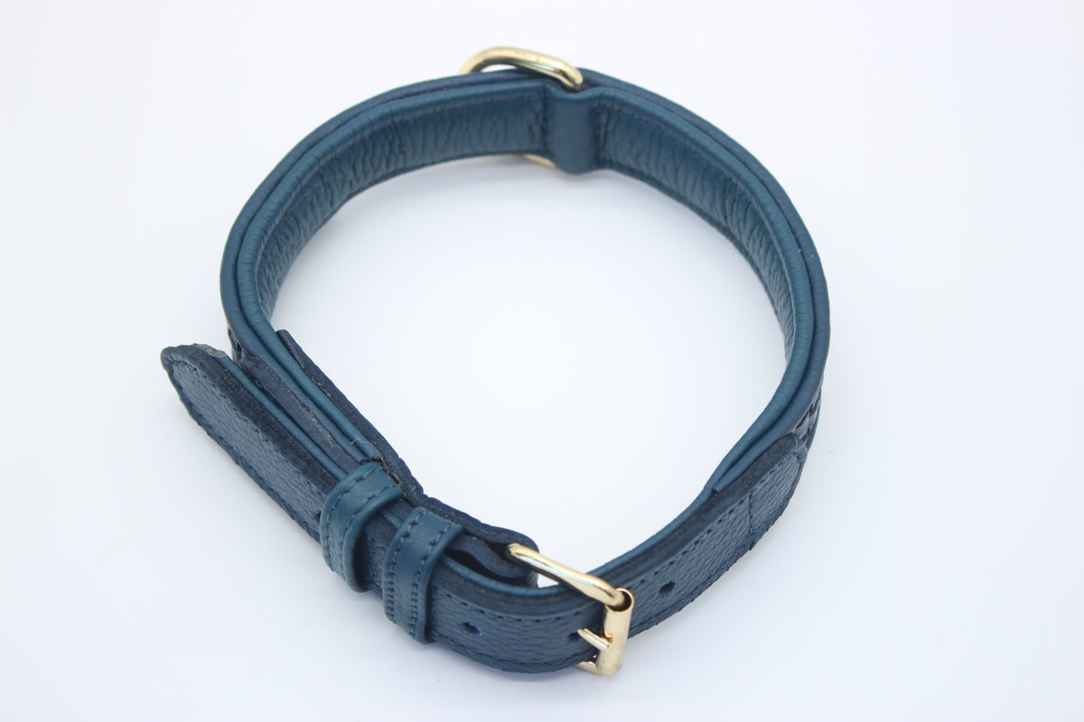 FinestPaw_Halsband_Signature_royalblau_m_all_oben