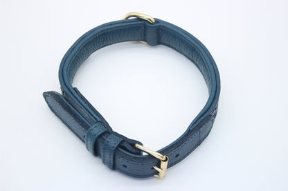 FinestPaw_Halsband_Signature_royalblau_m_all_oben