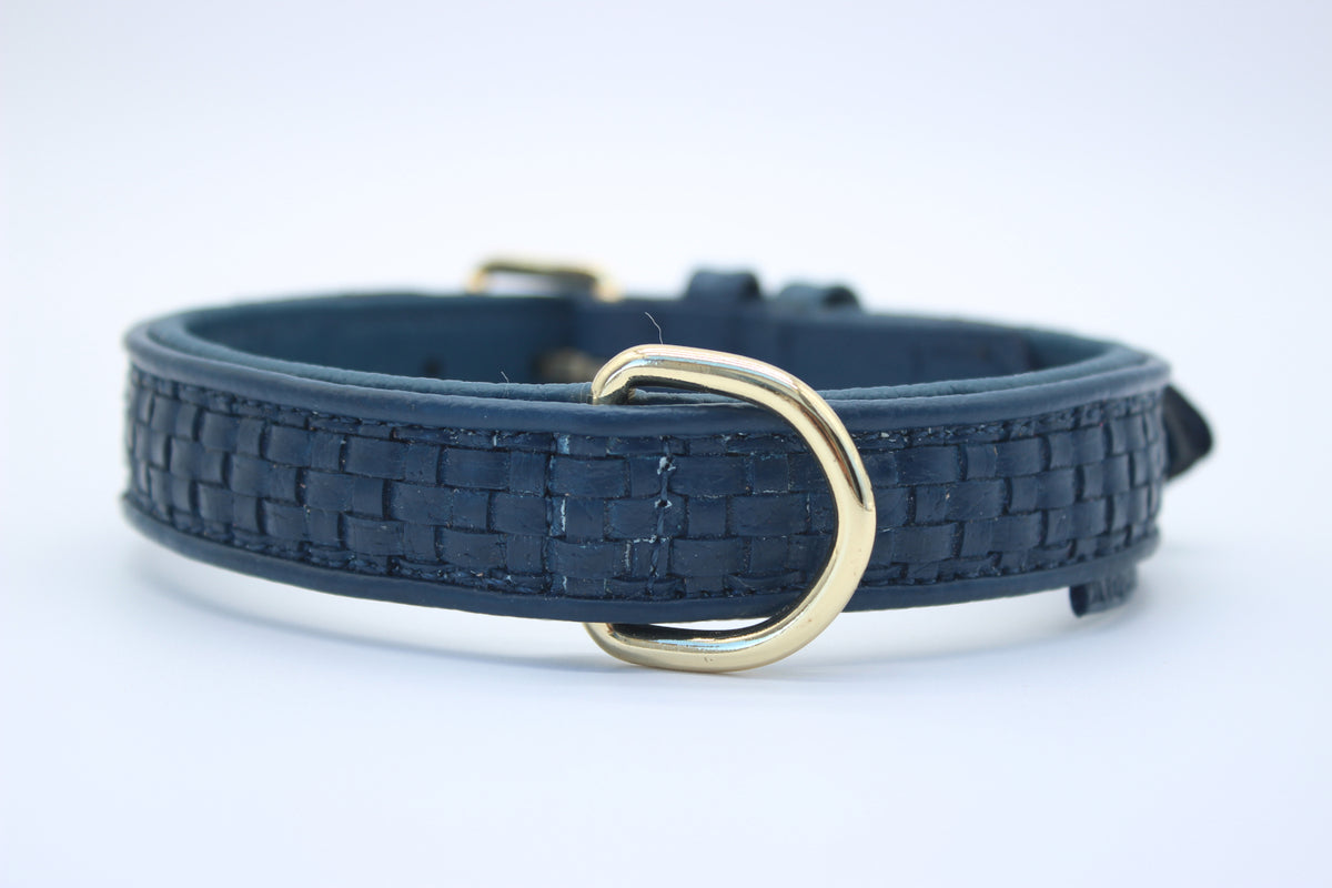 FinestPaw_Halsband_Signature_royalblau_m_gold_dring