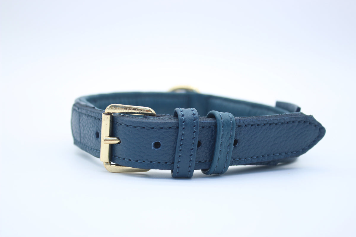 FinestPaw_Halsband_Signature_royalblau_m_gold_front
