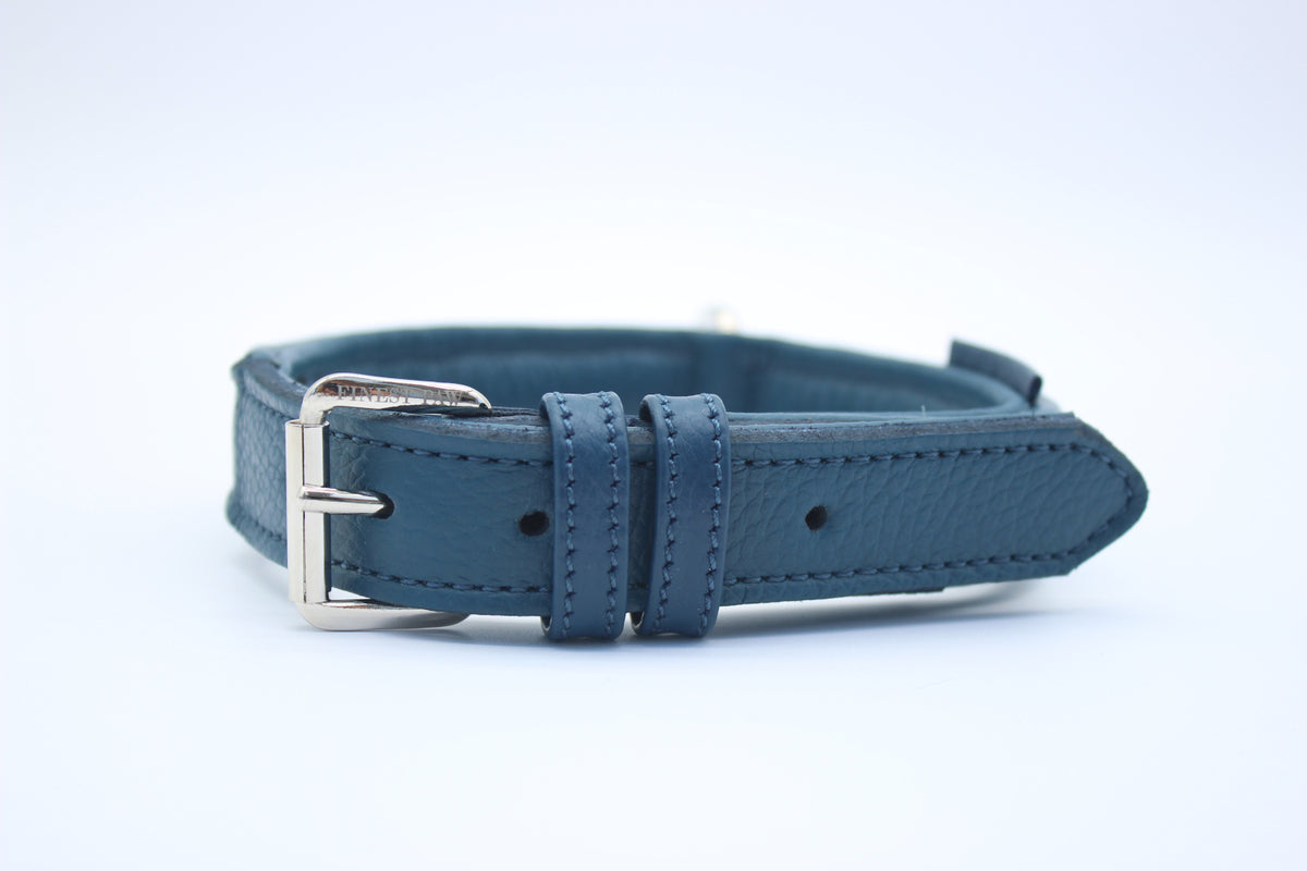 FinestPaw_Halsband_Signature_royalblau_m_silber_front