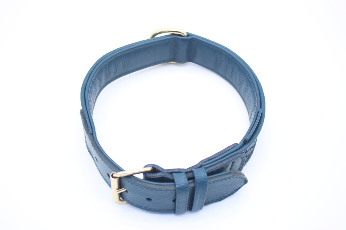 FinestPaw_Halsband_Signature_royalblau_xxl_gold_oben