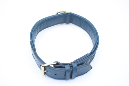 FinestPaw_Halsband_Signature_royalblau_xxl_gold_oben