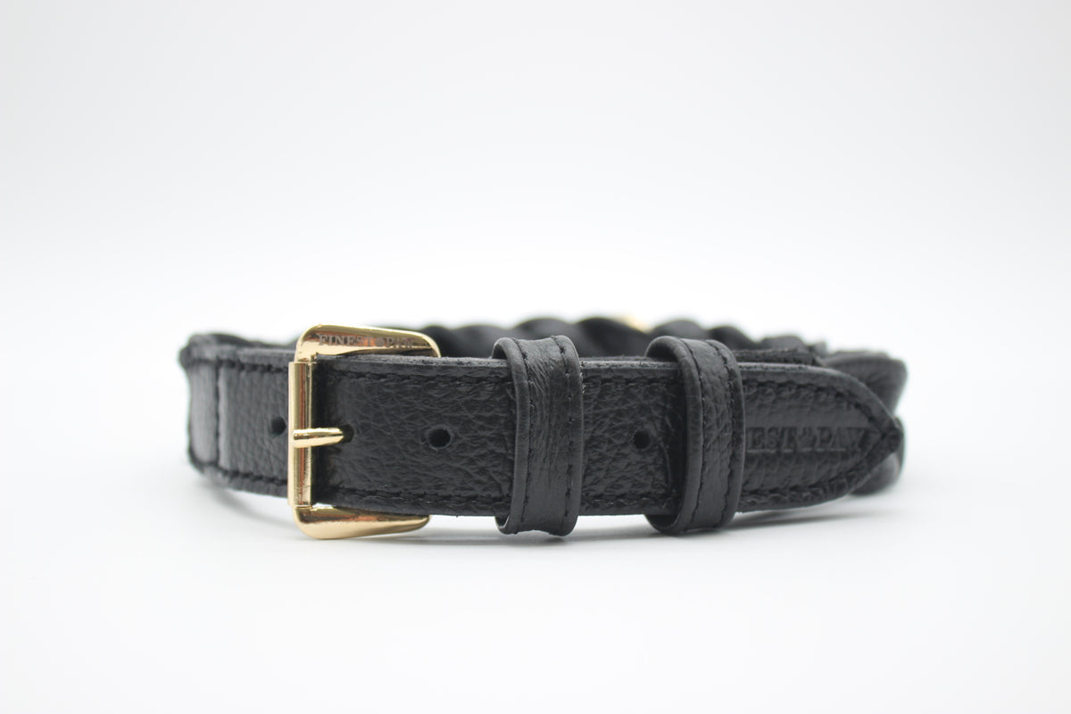 FinestPaw_Halsband_Vollgeflochten_schwarz_xxl_gold_front