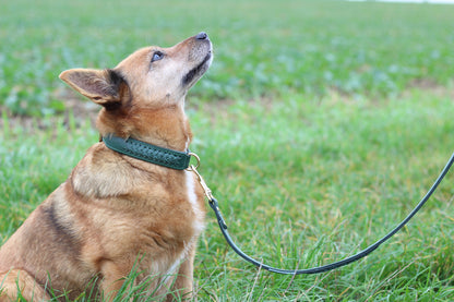 FinestPaw_Leine_Flechtkunst_Fuehrleine_fichte_all_all_all_set1