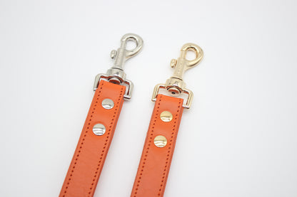 FinestPaw_Leine_Flechtkunst_Fuehrleine_papaya_all_all_all_goldsilber