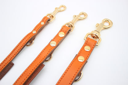 FinestPaw_Leine_Klassik_Premium_Fuehrleine_orange_all_all_gold_3karabiner