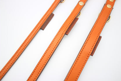 FinestPaw_Leine_Klassik_Premium_Fuehrleine_orange_all_all_gold_3logos