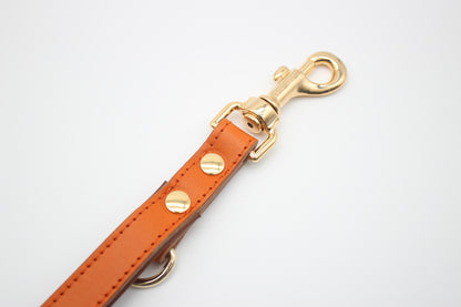 FinestPaw_Leine_Klassik_Premium_Fuehrleine_orange_all_all_gold_karabiner