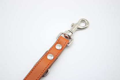 FinestPaw_Leine_Klassik_Premium_Fuehrleine_orange_all_all_silber_karabiner