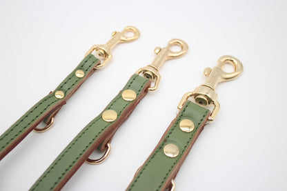 FinestPaw_Leine_Klassik_Premium_Fuehrleine_salbei_all_all_gold_3karabiner